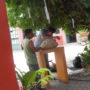 DSCN2088