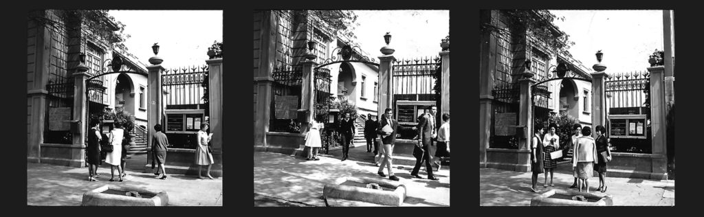 fomento_historia_gris